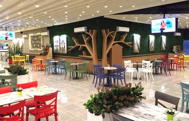 Стул пластиковый XSera-S зеленый 490х550х840 мм